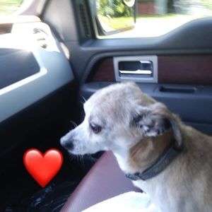 Meet your Posher, Herb